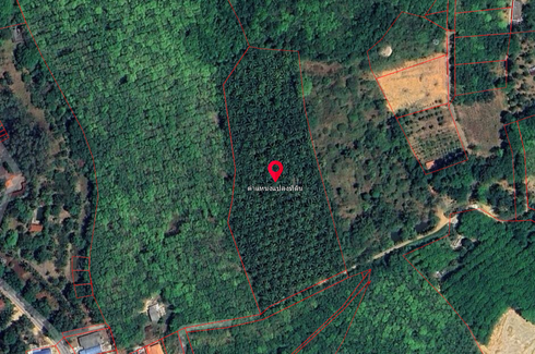 Land for sale in Thep Krasatti, Phuket