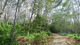 Land for sale in Thep Krasatti, Phuket