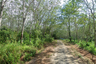 Land for sale in Thep Krasatti, Phuket