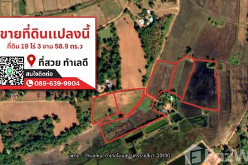 Land for sale in Mai, Nakhon Ratchasima