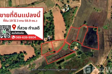 Land for sale in Mai, Nakhon Ratchasima