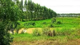 Land for sale in Mueang Mai, Chachoengsao