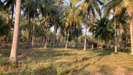 Land for sale in Saeng Arun, Prachuap Khiri Khan