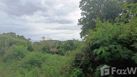 Land for sale in Bo Phut, Surat Thani