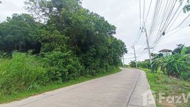 Land for sale in Bo Phut, Surat Thani