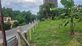 Land for sale in Nong Prue, Chonburi