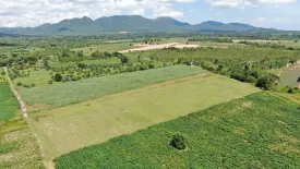 Land for sale in Huai Sai Nua, Phetchaburi