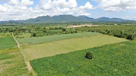 Land for sale in Huai Sai Nua, Phetchaburi