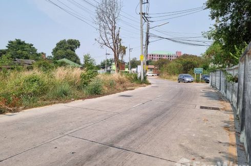 Land for sale in Nong Mai Daeng, Chonburi