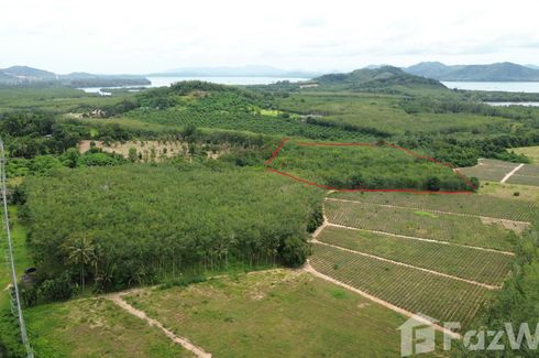 Land for sale in Thep Krasatti, Phuket