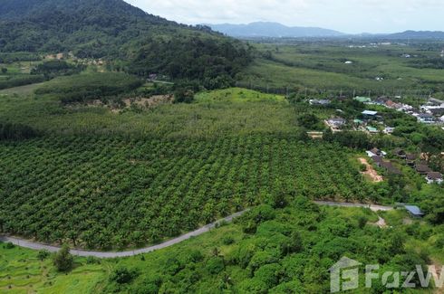 Land for sale in Thep Krasatti, Phuket