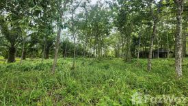 Land for sale in Thep Krasatti, Phuket