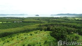 Land for sale in Thep Krasatti, Phuket