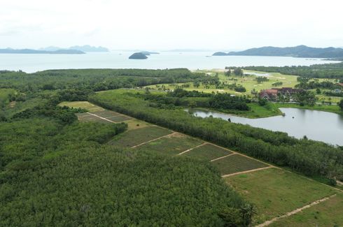 Land for sale in Thep Krasatti, Phuket