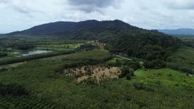 Land for sale in Thep Krasatti, Phuket