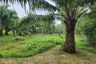Land for sale in Thep Krasatti, Phuket