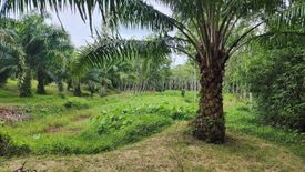 Land for sale in Thep Krasatti, Phuket