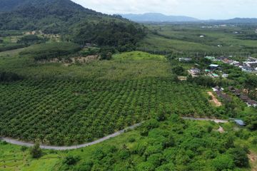 Land for sale in Thep Krasatti, Phuket