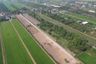 Land for sale in Bueng Bon, Pathum Thani