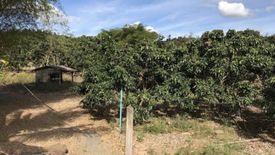 Land for sale in Saton, Chanthaburi