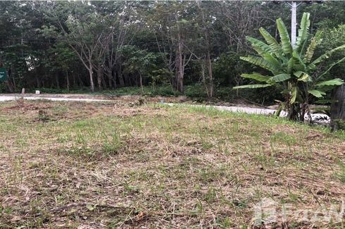 Land for sale in Ko Lanta Yai, Krabi