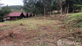 Land for sale in Ko Lanta Yai, Krabi