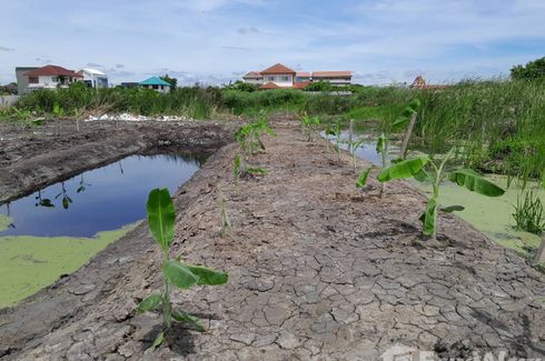 Land for sale in Sala Thammasop, Bangkok