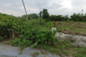 Land for sale in Tha Kham, Bangkok