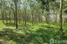 Land for sale in Thep Krasatti, Phuket