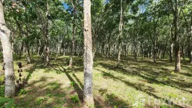 Land for sale in Thep Krasatti, Phuket