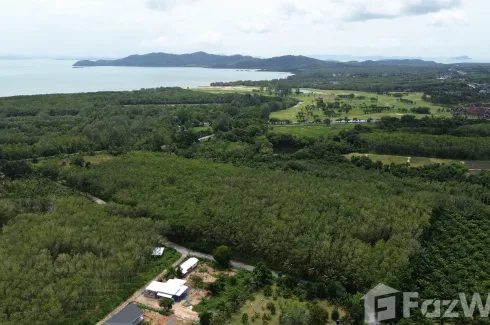 Land for sale in Thep Krasatti, Phuket