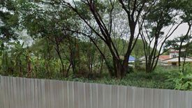 Land for sale in Tha Sala, Chiang Mai