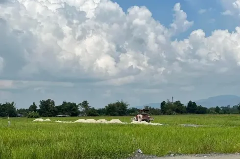 Land for sale in Pa Lan, Chiang Mai