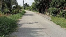 Land for sale in San Klang, Chiang Mai