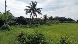 Land for sale in San Klang, Chiang Mai