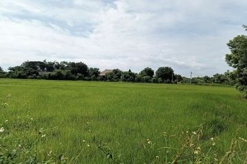 Land for sale in San Klang, Chiang Mai