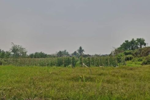 Land for sale in Thung Satok, Chiang Mai