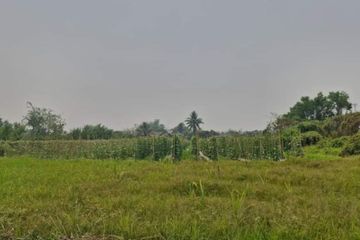 Land for sale in Thung Satok, Chiang Mai