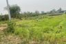 Land for sale in Thung Satok, Chiang Mai