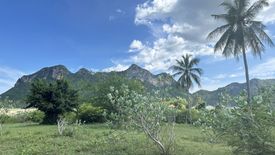 Land for sale in Sam Roi Yot, Prachuap Khiri Khan