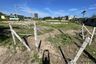 Land for sale in Nong Kae, Prachuap Khiri Khan