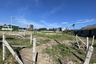 Land for sale in Nong Kae, Prachuap Khiri Khan