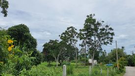 Land for sale in Ang Thong, Surat Thani