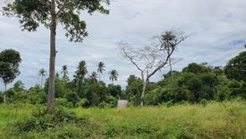 Land for sale in Ang Thong, Surat Thani