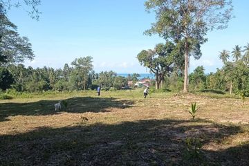 Land for sale in Ang Thong, Surat Thani