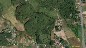 Land for sale in Tha Sut, Chiang Rai