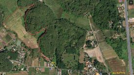 Land for sale in Tha Sut, Chiang Rai