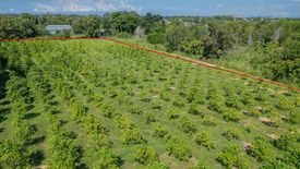 1 Bedroom Land for sale in Nong Pla Lai, Chonburi