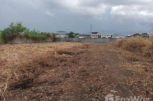 Land for sale in Samae Dam, Bangkok