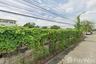 Land for sale in Nong Khaem, Bangkok